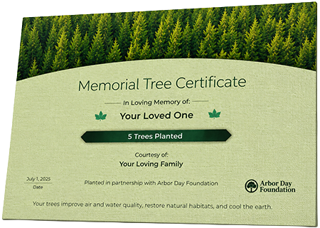Plant Trees in Memory of Lois B. Dudley